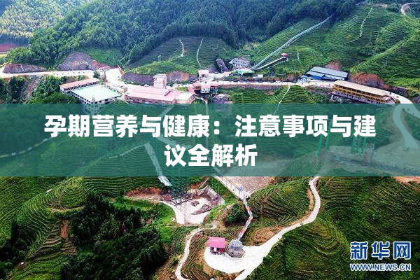孕期营养与健康：注意事项与建议全解析