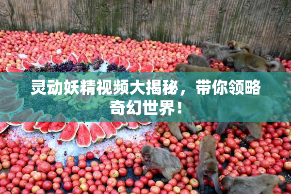 灵动妖精视频大揭秘，带你领略奇幻世界！