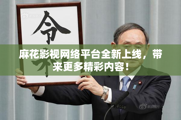 麻花影视网络平台全新上线，带来更多精彩内容！