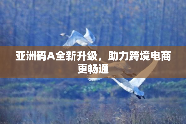 亚洲码A全新升级，助力跨境电商更畅通