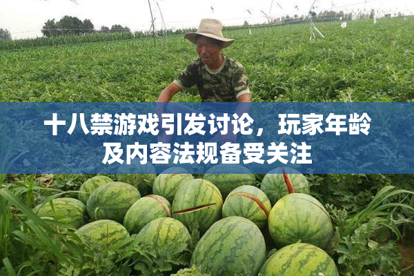 十八禁游戏引发讨论，玩家年龄及内容法规备受关注