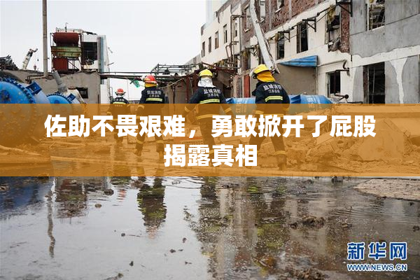 佐助不畏艰难，勇敢掀开了屁股揭露真相