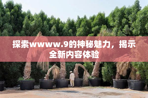 探索wwww.9的神秘魅力，揭示全新内容体验