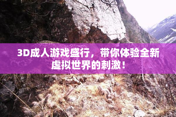 3D成人游戏盛行，带你体验全新虚拟世界的刺激！