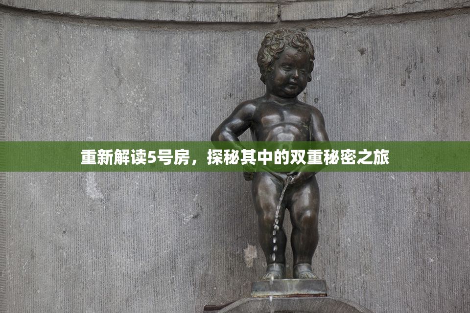 重新解读5号房，探秘其中的双重秘密之旅