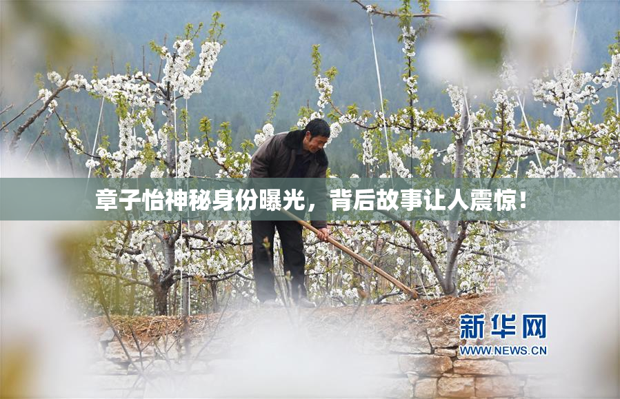 章子怡神秘身份曝光，背后故事让人震惊！