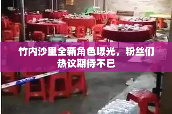 竹内沙里全新角色曝光，粉丝们热议期待不已