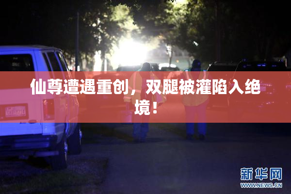 仙尊遭遇重创，双腿被灌陷入绝境！