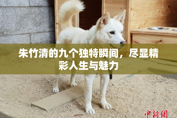 朱竹清的九个独特瞬间，尽显精彩人生与魅力