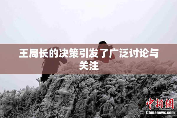 王局长的决策引发了广泛讨论与关注