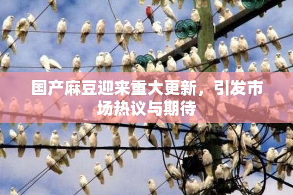 国产麻豆迎来重大更新，引发市场热议与期待