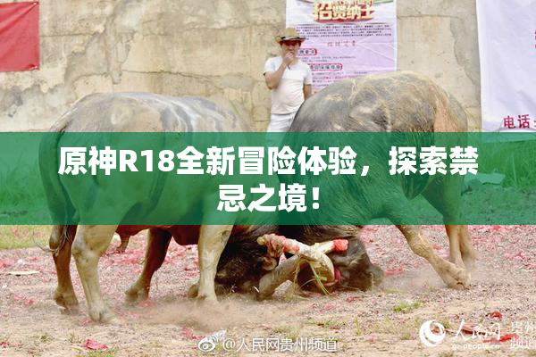 原神R18全新冒险体验，探索禁忌之境！