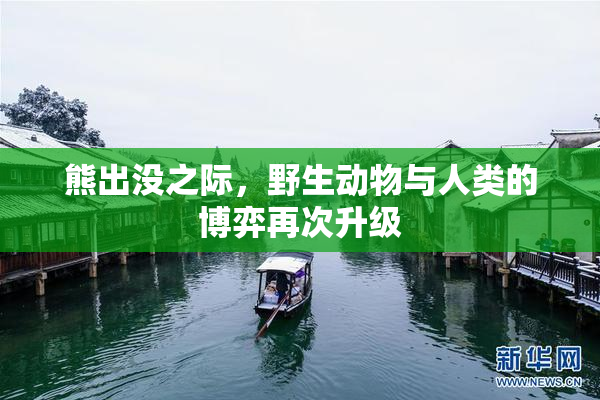 熊出没之际，野生动物与人类的博弈再次升级