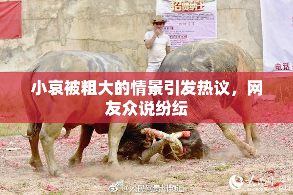 小哀被粗大的情景引发热议，网友众说纷纭
