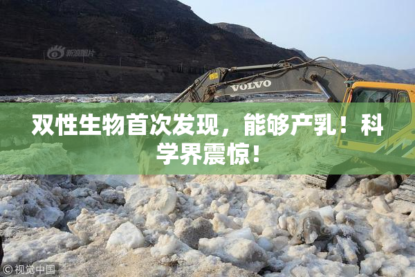 双性生物首次发现，能够产乳！科学界震惊！