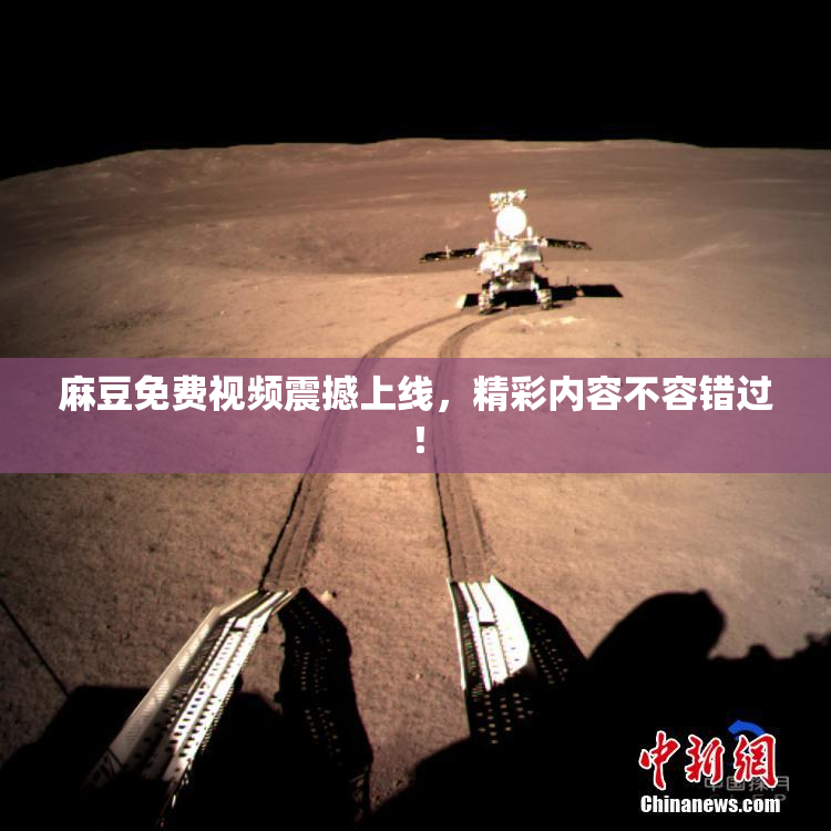 麻豆免费视频震撼上线，精彩内容不容错过！