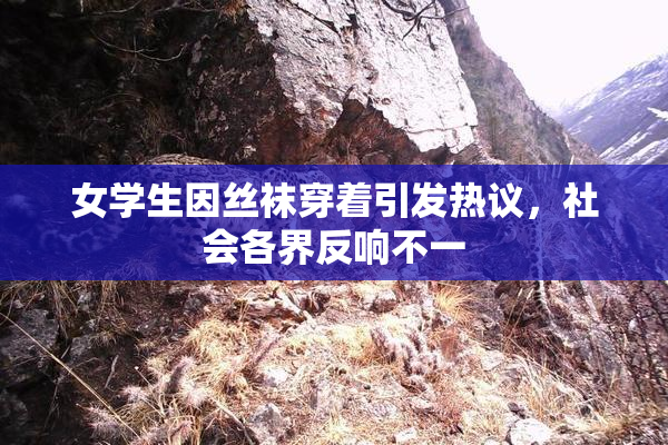 女学生因丝袜穿着引发热议，社会各界反响不一