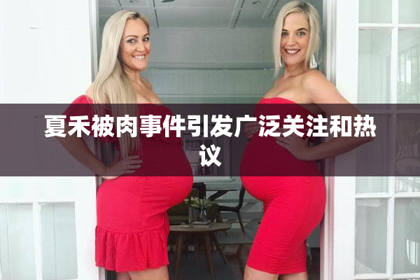 夏禾被肉事件引发广泛关注和热议