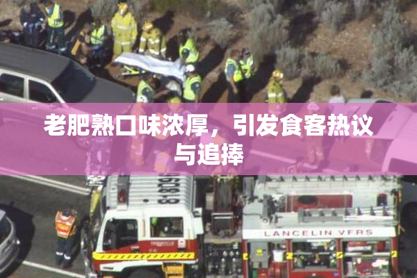 老肥熟口味浓厚，引发食客热议与追捧