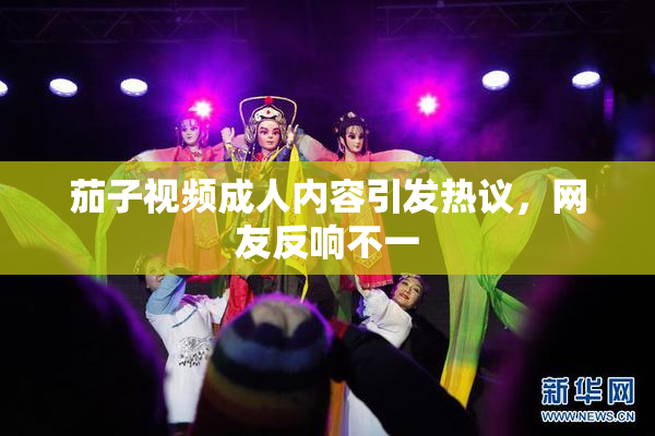 茄子视频成人内容引发热议，网友反响不一