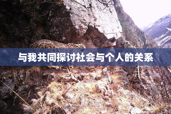 与我共同探讨社会与个人的关系