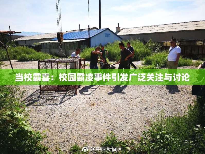 当校霸喜：校园霸凌事件引发广泛关注与讨论