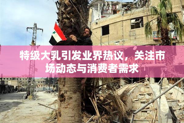 特级大乳引发业界热议，关注市场动态与消费者需求