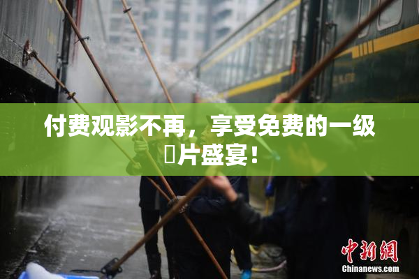 付费观影不再，享受免费的一级婬片盛宴！