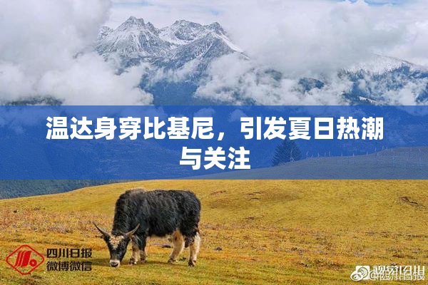 温达身穿比基尼，引发夏日热潮与关注