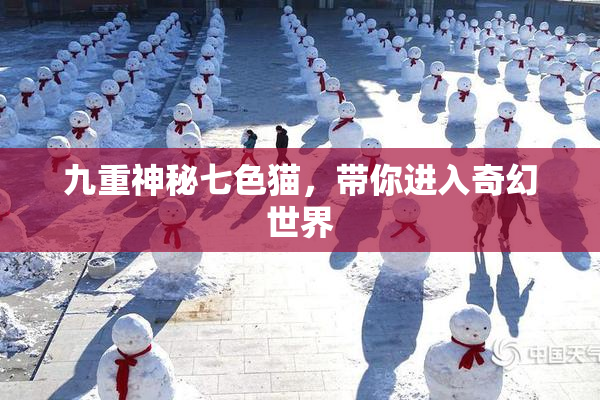 九重神秘七色猫，带你进入奇幻世界