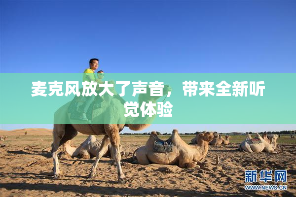 麦克风放大了声音，带来全新听觉体验
