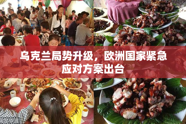 乌克兰局势升级，欧洲国家紧急应对方案出台