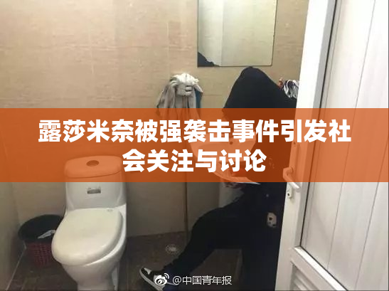 露莎米奈被强袭击事件引发社会关注与讨论