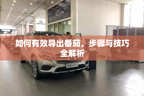 如何有效导出番茄，步骤与技巧全解析