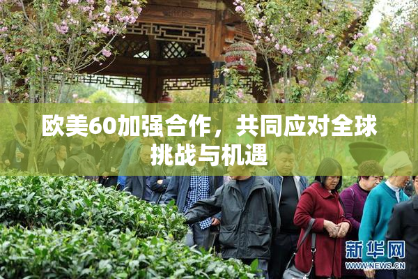 欧美60加强合作，共同应对全球挑战与机遇