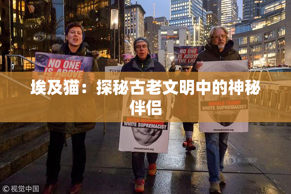 埃及猫：探秘古老文明中的神秘伴侣