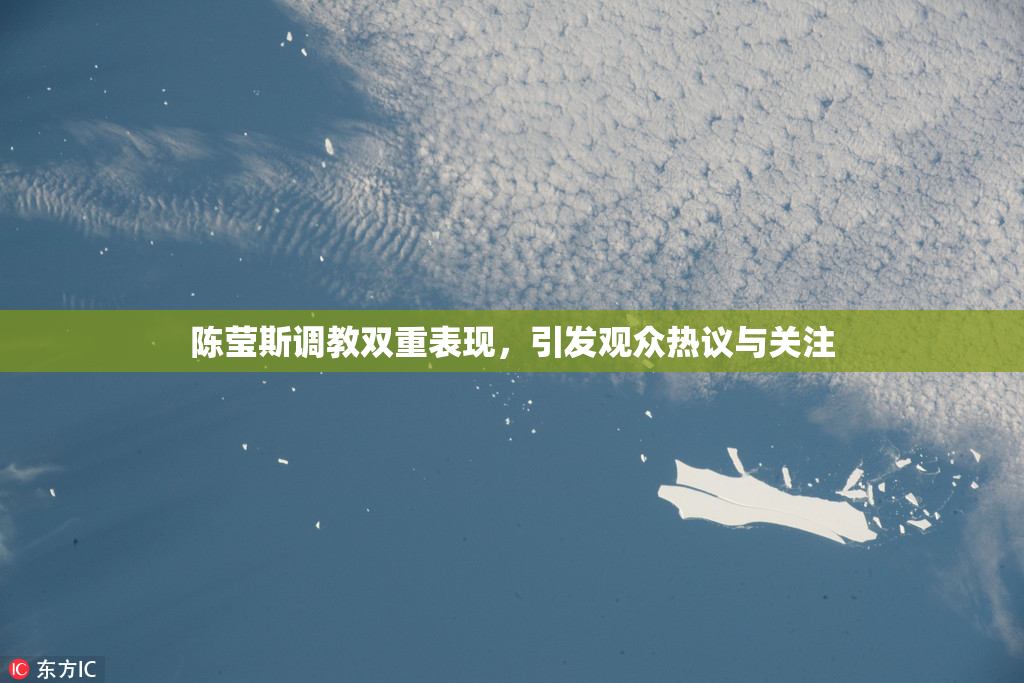 陈莹斯调教双重表现，引发观众热议与关注