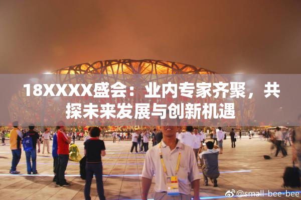 18XXXX盛会：业内专家齐聚，共探未来发展与创新机遇