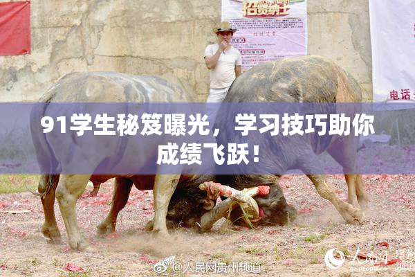 91学生秘笈曝光，学习技巧助你成绩飞跃！