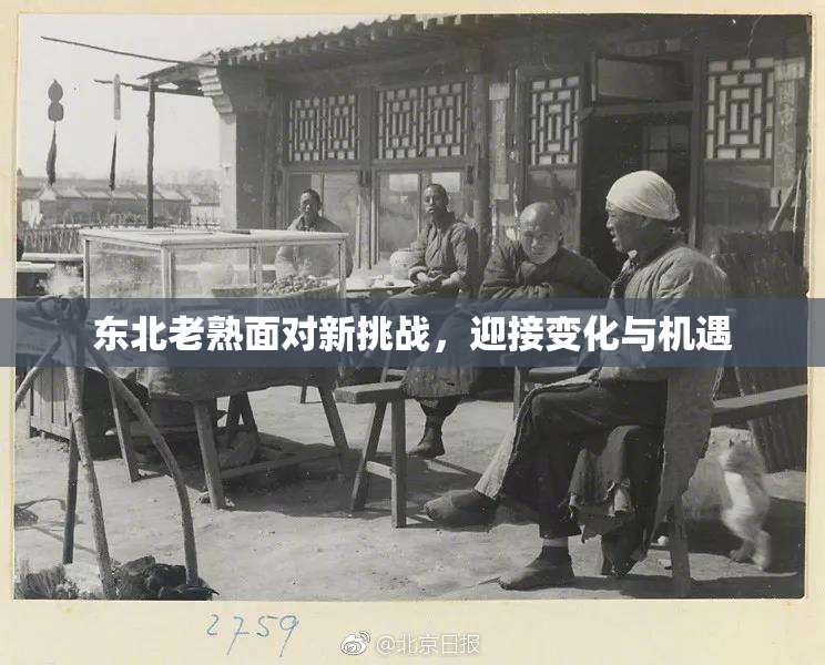 东北老熟面对新挑战，迎接变化与机遇