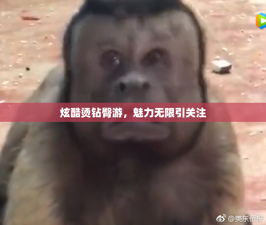 炫酷烫钻臀游，魅力无限引关注