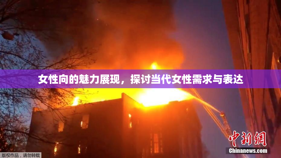 女性向的魅力展现，探讨当代女性需求与表达