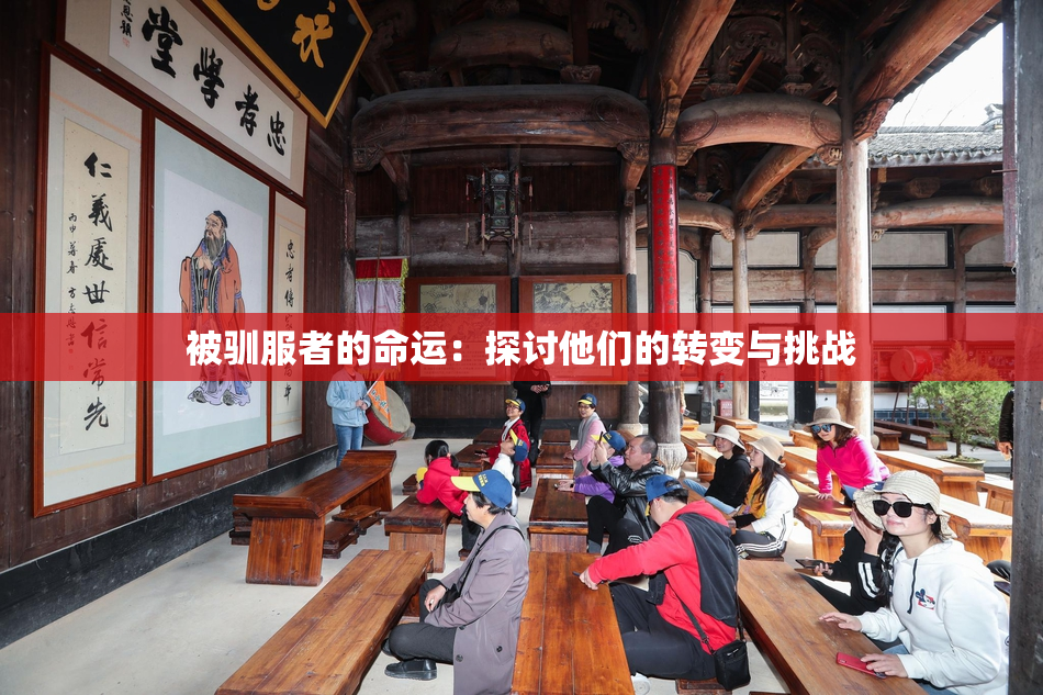 被驯服者的命运：探讨他们的转变与挑战
