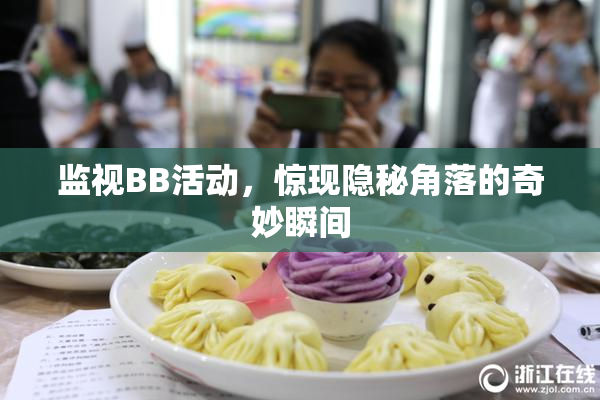 监视BB活动，惊现隐秘角落的奇妙瞬间