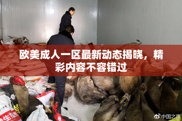 欧美成人一区最新动态揭晓，精彩内容不容错过