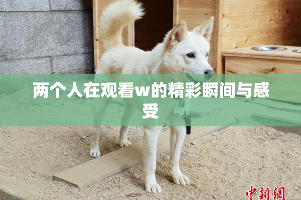 两个人在观看w的精彩瞬间与感受