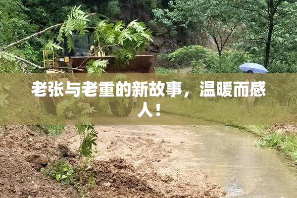 老张与老重的新故事，温暖而感人！