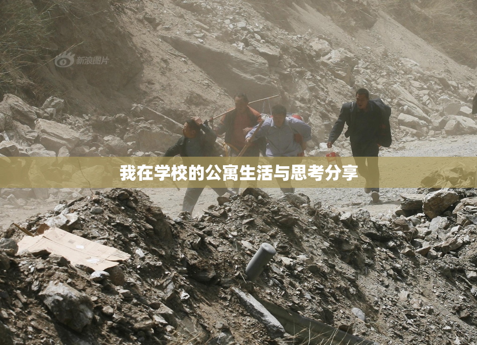 我在学校的公寓生活与思考分享