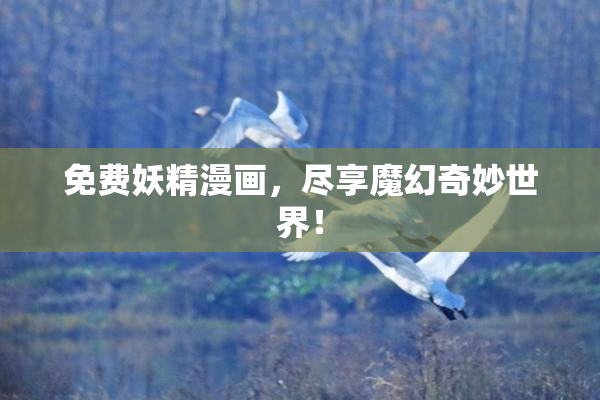 免费妖精漫画，尽享魔幻奇妙世界！