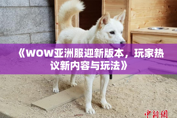 《WOW亚洲服迎新版本，玩家热议新内容与玩法》